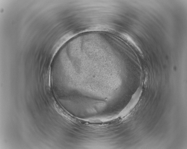 X0000059251276200510281947