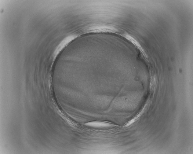 X0000059251277200510281947