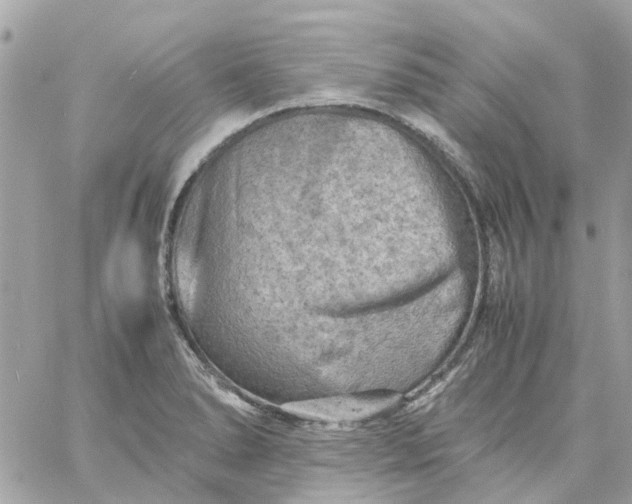 X0000059251278200510281947