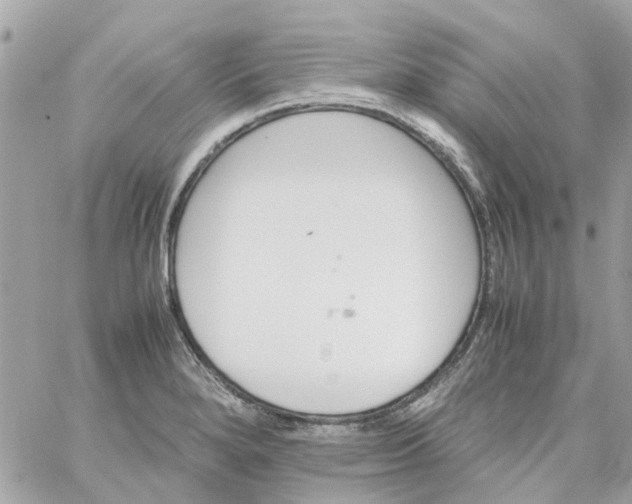 X0000059251280200510281947