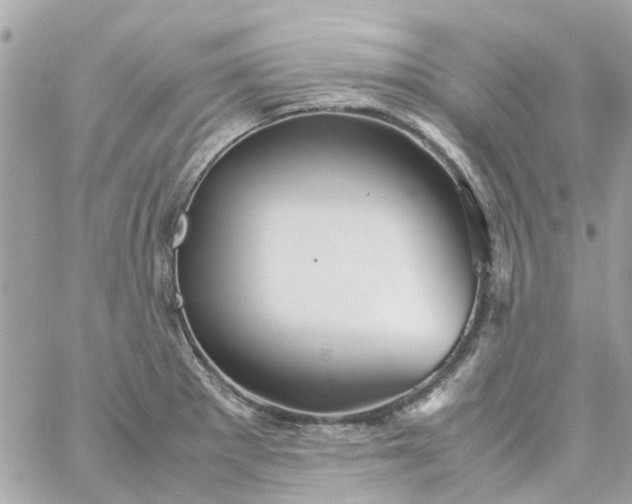 X0000059251281200510281947