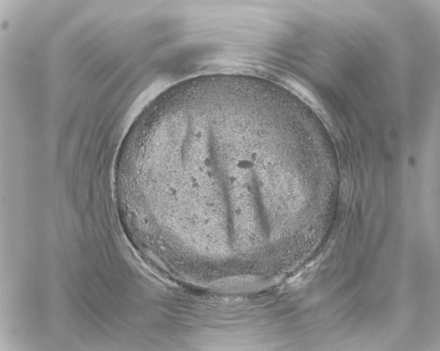 X0000059251283200510281947