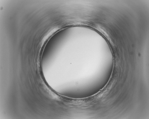 X0000059251285200510281946