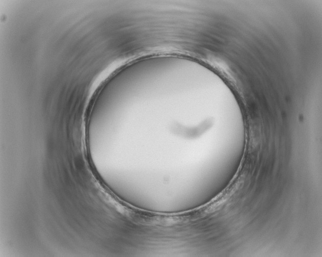 X0000059251286200510281946