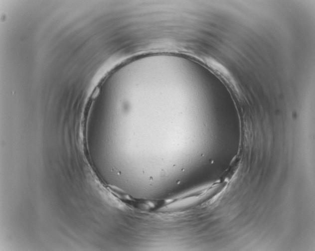 X0000059251288200510281946