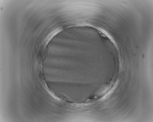 X0000059251289200510281946