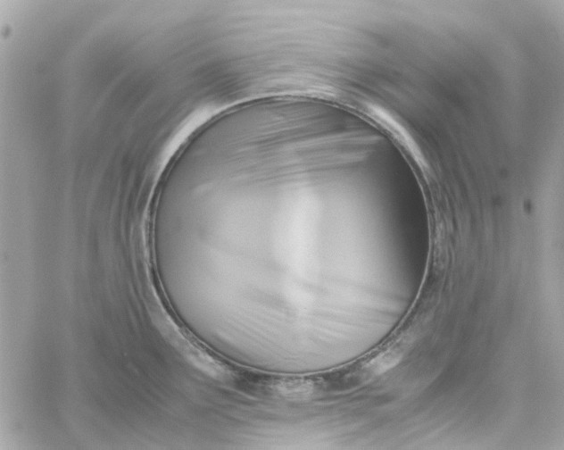 X0000059251291200510281946