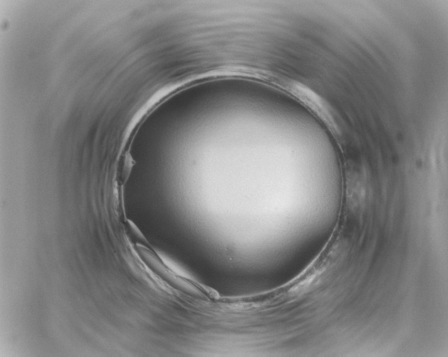 X0000059251292200510281946