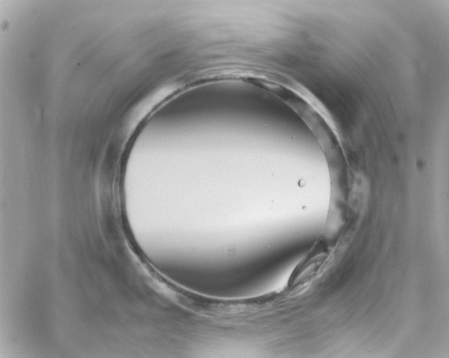 X0000059251293200510281946