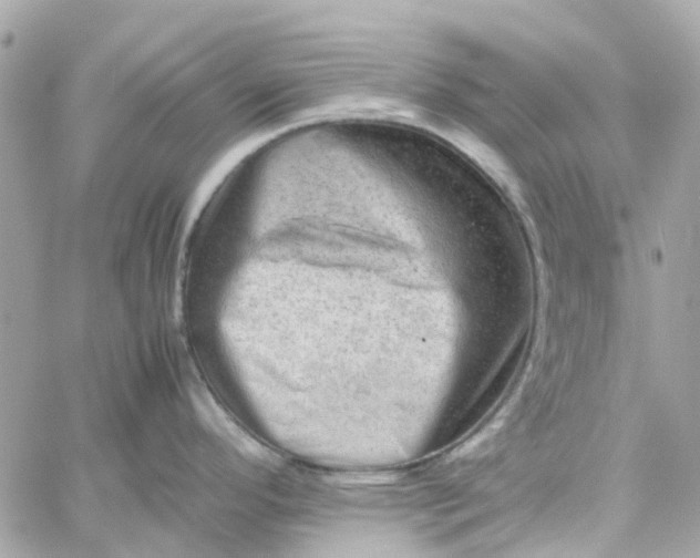 X0000059251296200510281946