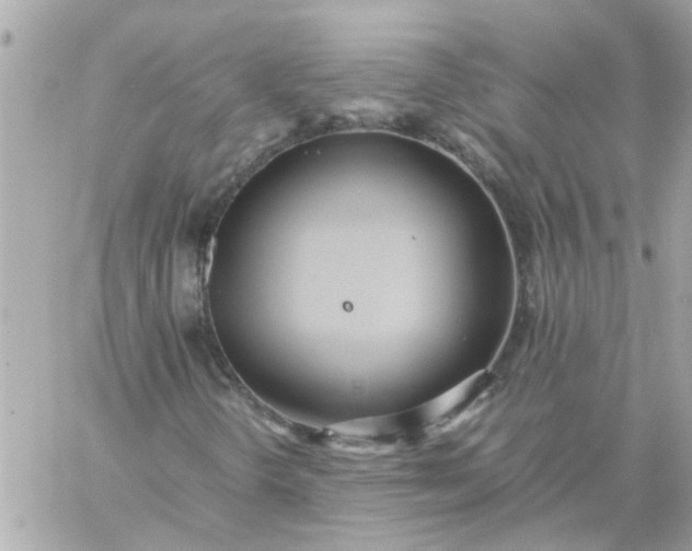 X0000059251298200510281946