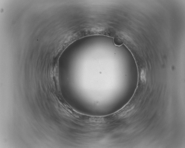 X0000059251299200510281946