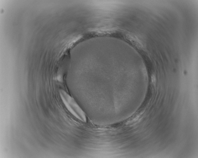 X0000059251300200510281946