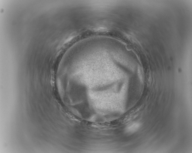 X0000059251301200510281946