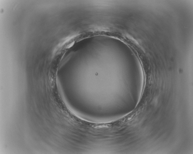 X0000059251303200510281946