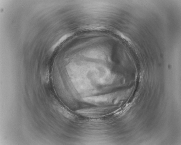 X0000059251306200510281946