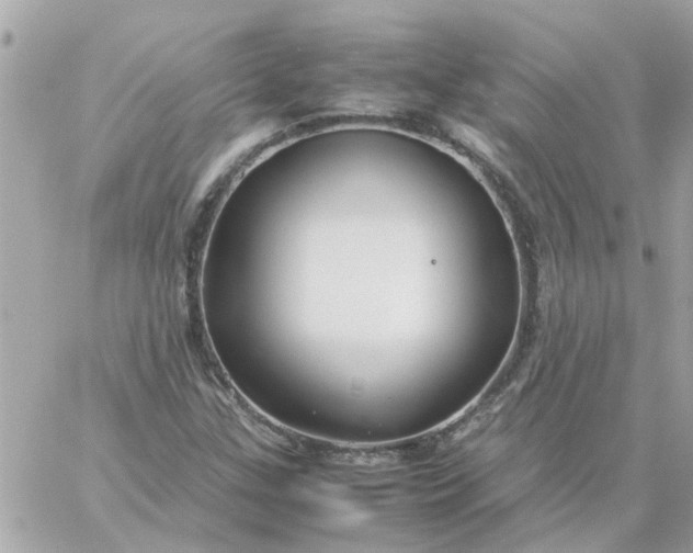 X0000059251307200510281946