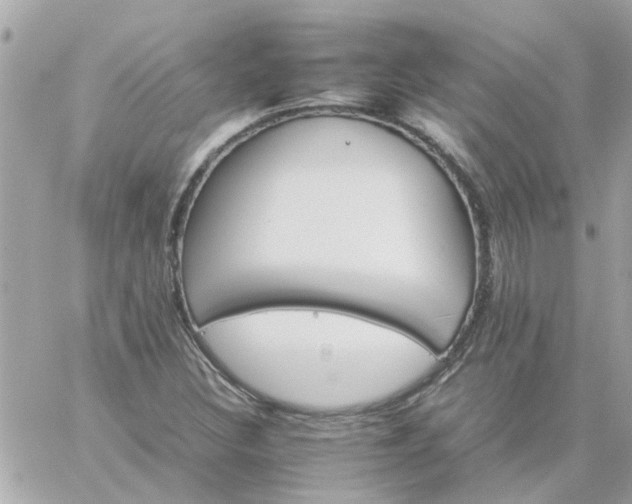 X0000059251308200510281946