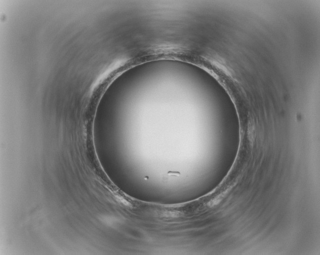 X0000059251309200510281946