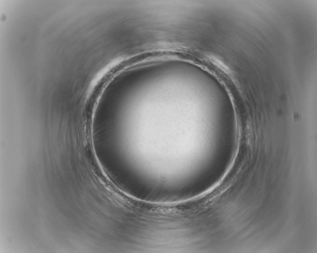 X0000059251310200510281946