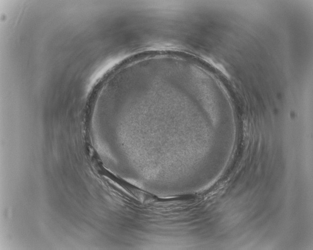 X0000059251311200510281946