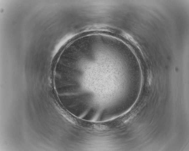 X0000059251312200510281946