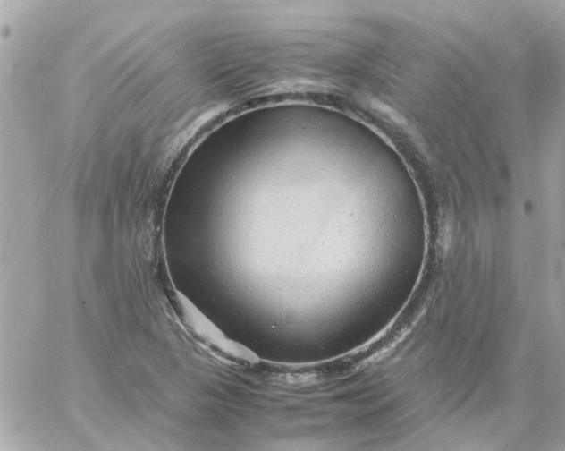 X0000059251313200510281946