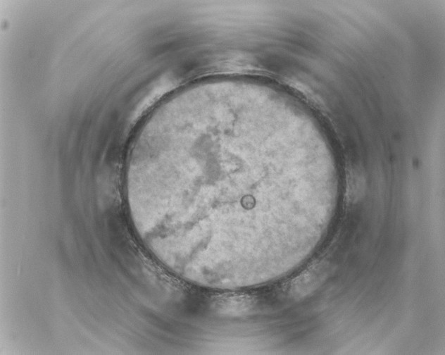 X0000059251314200510281946