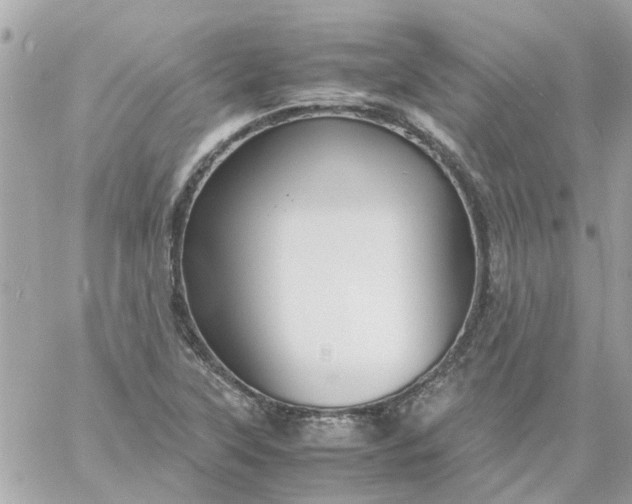 X0000059251315200510281946