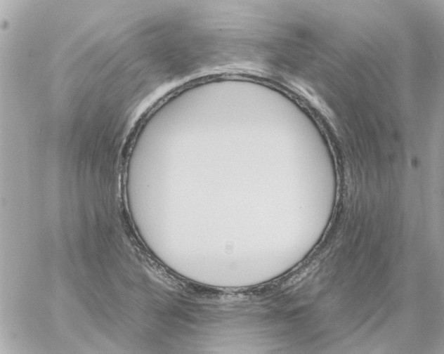 X0000059251316200510281946