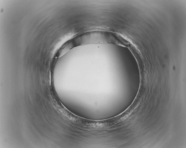 X0000059251317200510281946