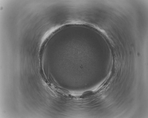 X0000059251319200510281946