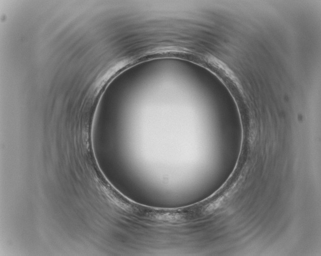 X0000059251321200510281946