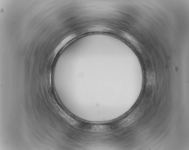 X0000059251322200510281946