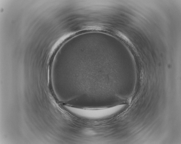 X0000059251323200510281946