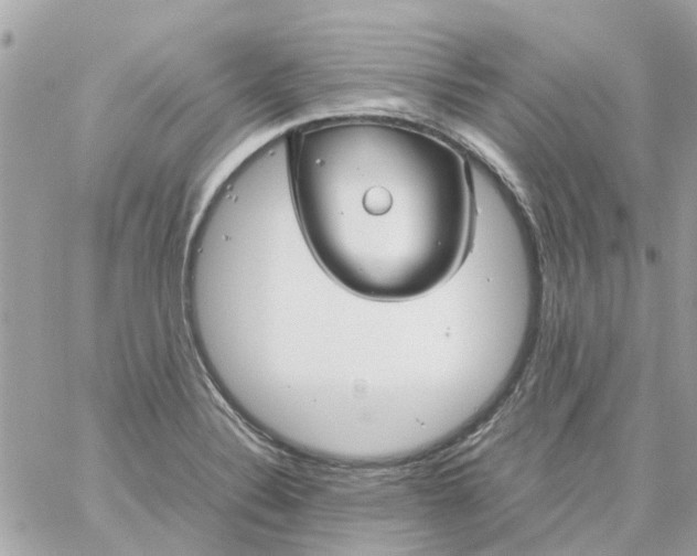 X0000059251324200510281946