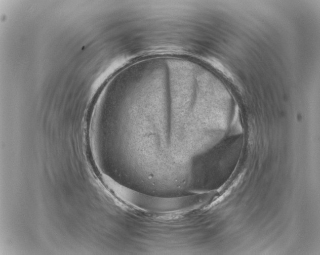 X0000059251325200510281946