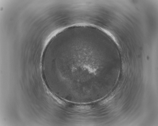 X0000059251327200510281946