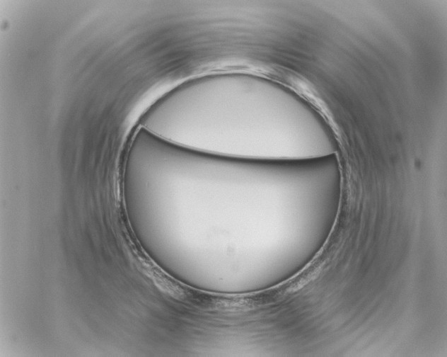 X0000059251328200510281946