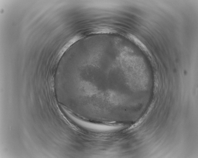 X0000059251329200510281946