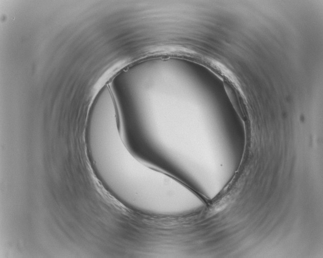 X0000059251330200510281946