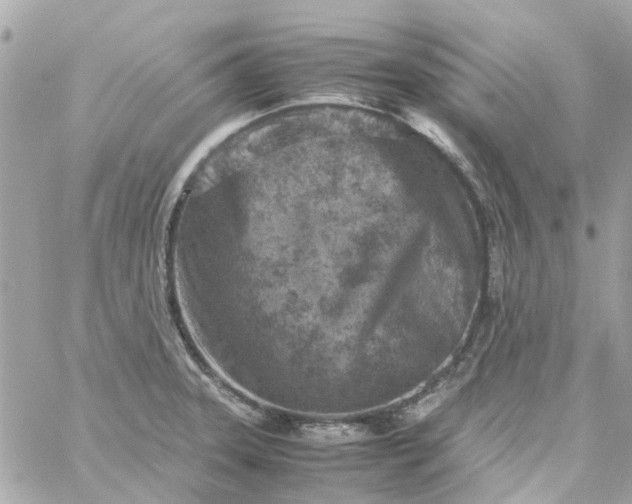 X0000059251331200510281946