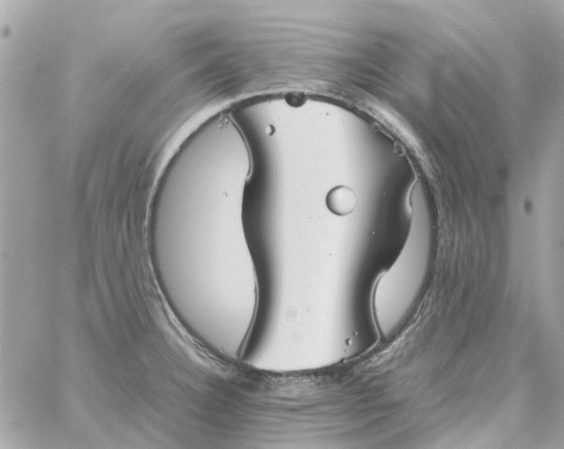 X0000059251332200510281946