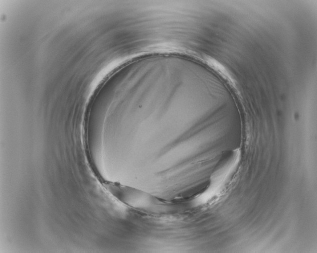 X0000059251334200510281946