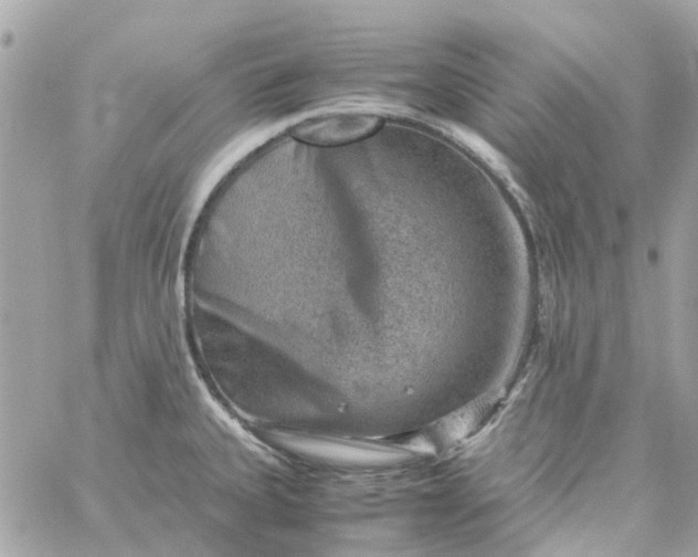 X0000059251335200510281946