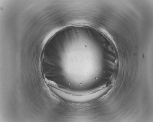 X0000059251336200510281946