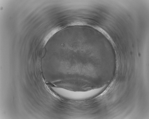 X0000059251337200510281946