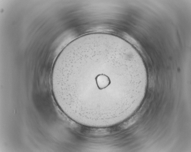 X0000059251338200510281946