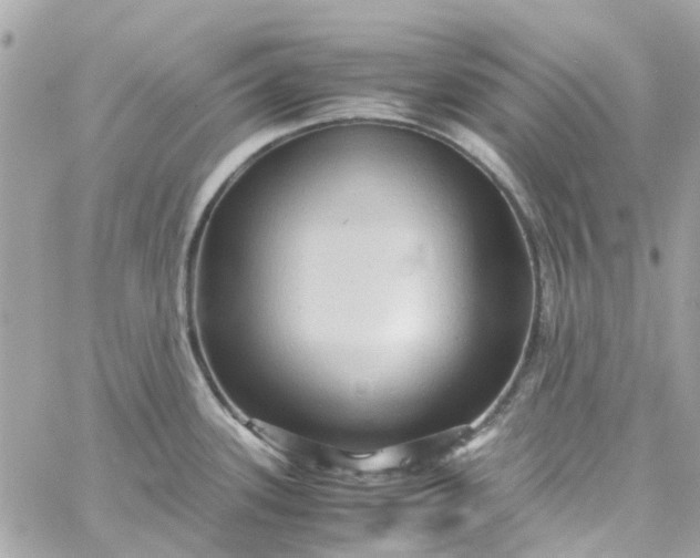 X0000059251339200510281946