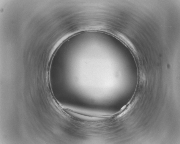 X0000059251340200510281946